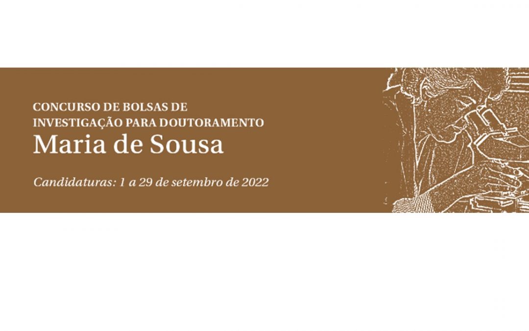 Bolsas de Investigação para Doutoramento Maria de Sousa – 2022 SEAGULL – Seeking Epidemiological and Virological Answers