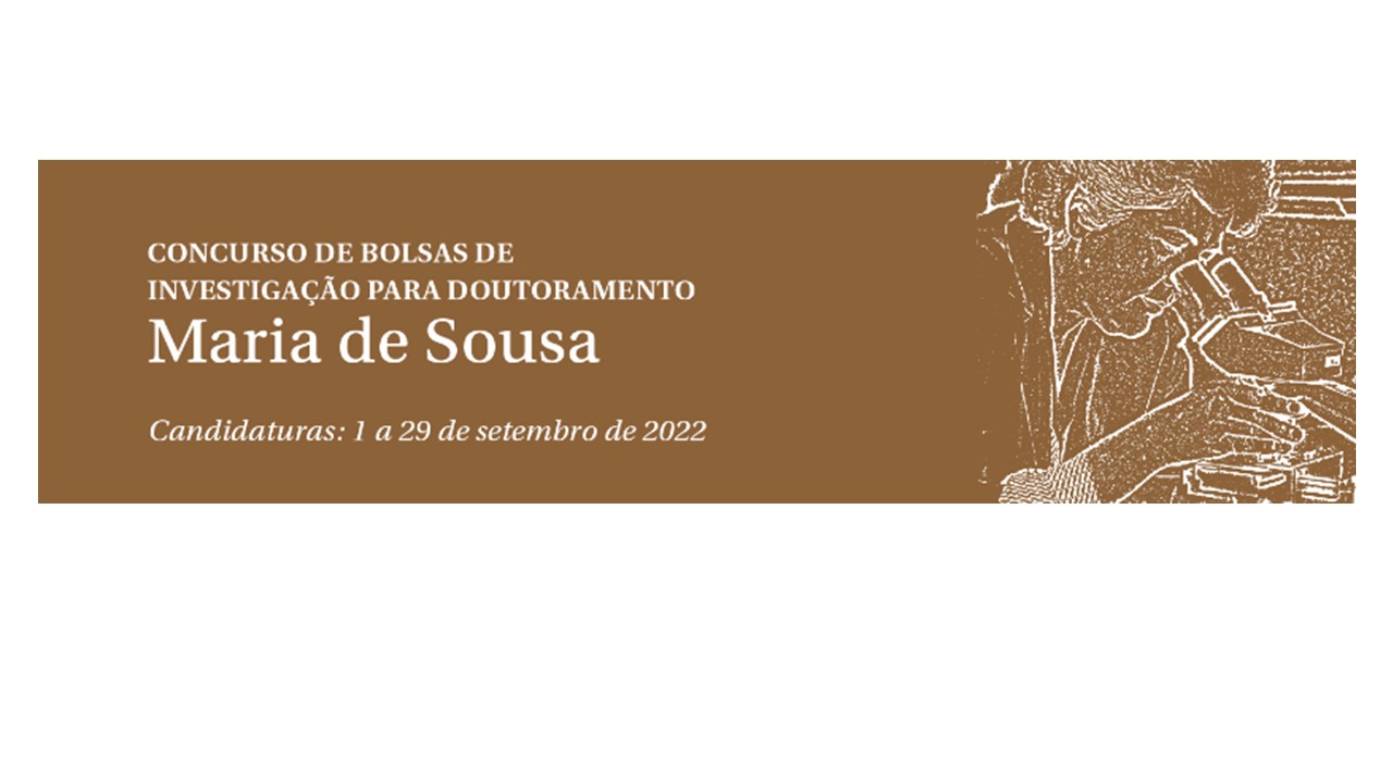 Bolsas de Investigação para Doutoramento Maria de Sousa – 2022 SEAGULL – Seeking Epidemiological and Virological Answers