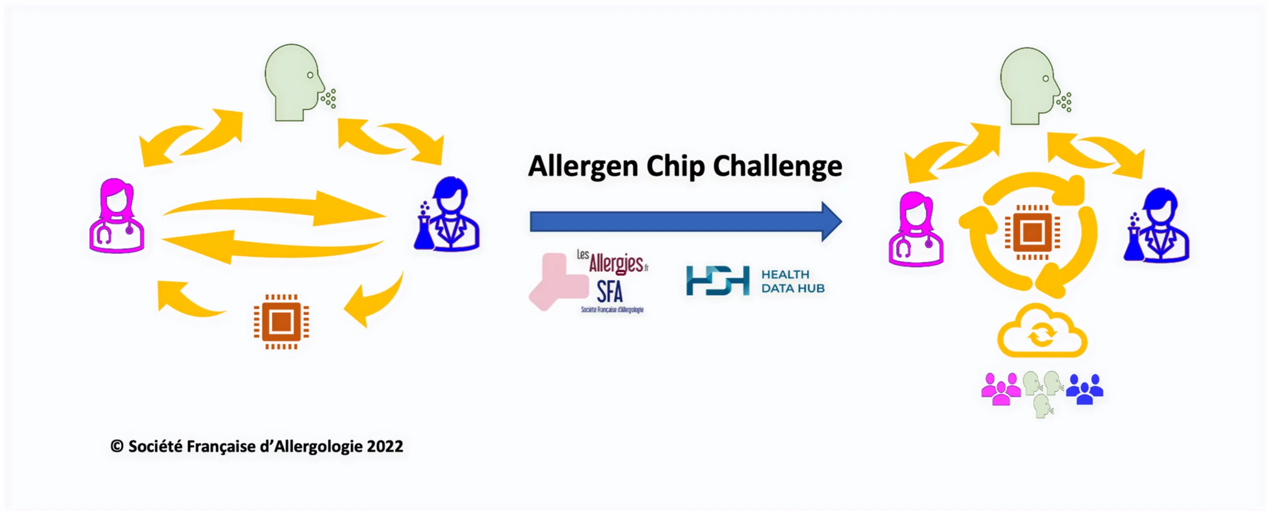 Desafio Allergen Chip