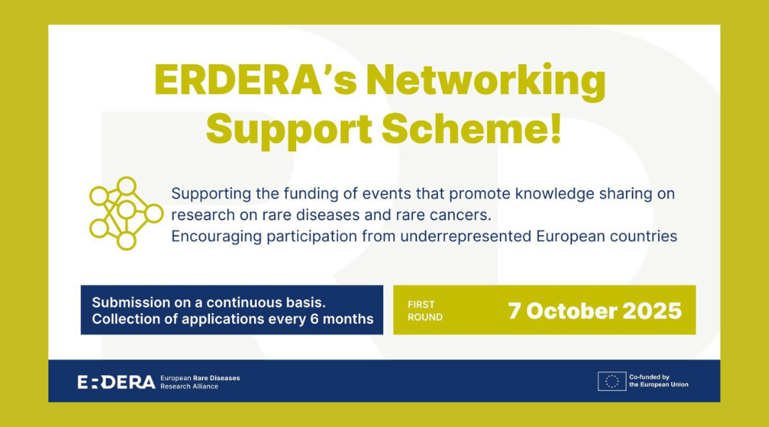 ERDERA lança Concurso “Networking Support Scheme”